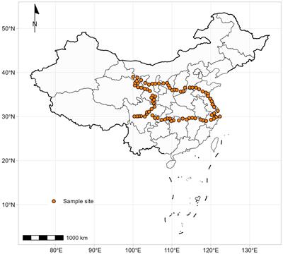 Allocation of nitrogen and phosphorus in the leaves, stems, and roots of Artemisia: a case study in phylogenetic control